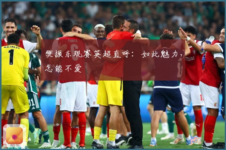 樊振东观赛英超直呼：如此魅力，怎能不爱