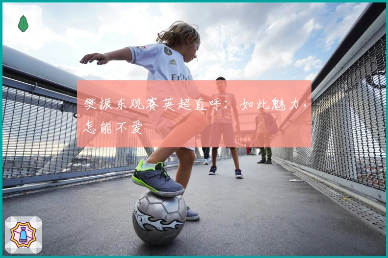 樊振东观赛英超直呼：如此魅力，怎能不爱